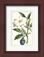 Framed Turpin Exotic Botanical I