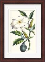 Framed Turpin Exotic Botanical I
