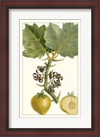 Framed Turpin Exotic Botanical IV