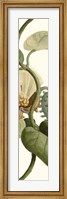 Framed Turpin Exotic Botanical V
