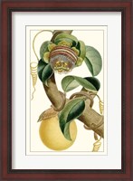 Framed Turpin Exotic Botanical VII