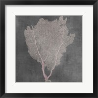 Framed Natural Sea Fan I