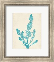 Framed 'Aquamarine Seaweed VI' border=