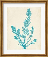 Framed Aquamarine Seaweed VI