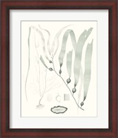 Framed Sage Green Seaweed III