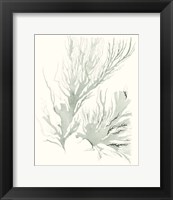 Framed Sage Green Seaweed IV