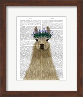 Framed Llama Bohemian 1 Book Print