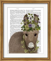 Framed Donkey Bohemian 2 Book Print