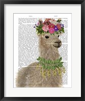 Framed Llama Bohemian 2 Book Print