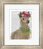 Framed Llama Bohemian 2 Book Print