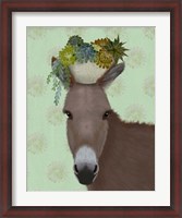 Framed Donkey Succulent