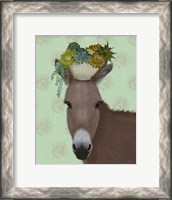 Framed Donkey Succulent