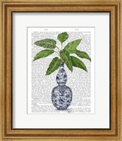 Framed Chinoiserie Vase 1, With Plant Book Print