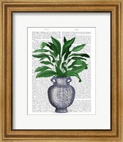 Framed Chinoiserie Vase 2, With Plant Book Print