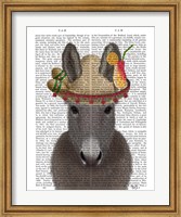 Framed Donkey Sombrero Book Print