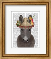 Framed Donkey Sombrero Book Print