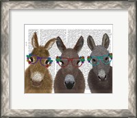Framed Donkey Trio Flower Glasses Book Print