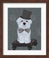 Framed Maltese with Top Hat