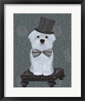 Framed Maltese with Top Hat