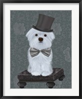 Framed Maltese with Top Hat