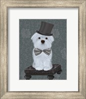 Framed Maltese with Top Hat