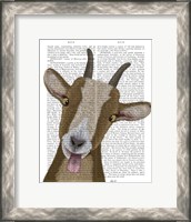 Framed Funny Farm Goat 3 Book Print