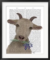 Framed Goat and Bluebells Book Print
