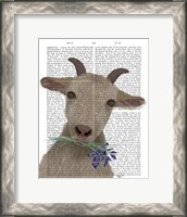 Framed Goat and Bluebells Book Print