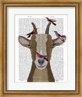 Framed Goat and Red Birds Book Print