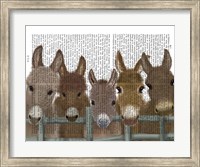 Framed Donkey Herd at Fence Book Print