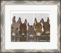 Framed Donkey Herd at Fence Book Print