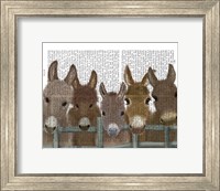 Framed Donkey Herd at Fence Book Print