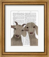 Framed Goat Duo, Looking at You Book Print