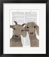 Framed Goat Duo, Looking at You Book Print