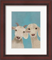 Framed Goat Duo, Looking at You