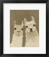 Framed Llama Duo, Looking at You
