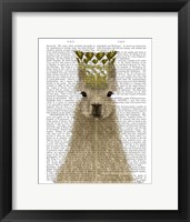 Framed Llama Queen Book Print