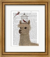 Framed Llama and Birdcage Book Print