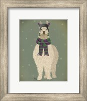 Framed Llama with Purple Scarf, Full