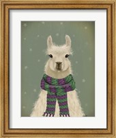 Framed Llama with Purple Scarf, Portrait
