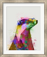 Framed Badger Rainbow Splash 2