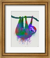 Framed Sloth Rainbow Splash