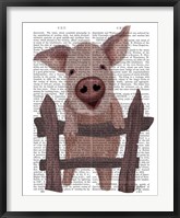 Framed Pig On Fence Book Print