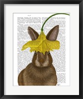 Framed Daffodil Rabbit Book Print