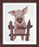 Framed Pig On Fence