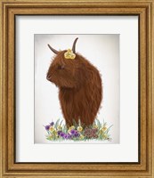 Framed Highland Cow, Pansy