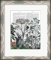 Framed Wildflower Bloom, Owl Book Print