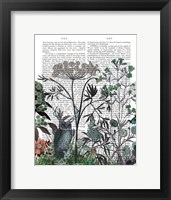 Framed Wildflower Bloom, Owl Book Print