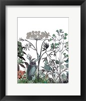 Framed Wildflower Bloom, Owl