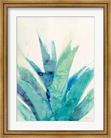 Framed Cool Aloe